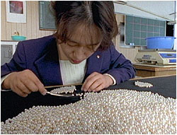 Our worker sorting the pearls